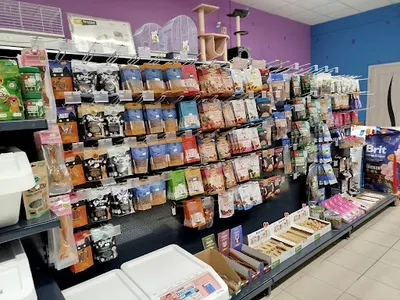 Sklep Zoologiczny Fioletowa ZooMania